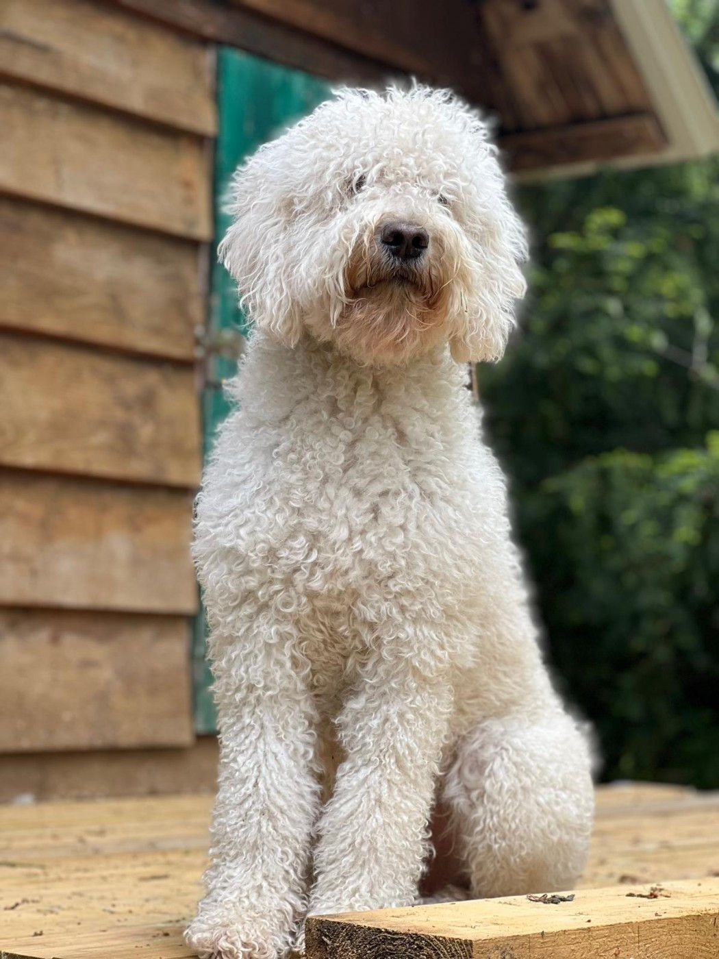 PLEZOU VOM SEIDENBERG