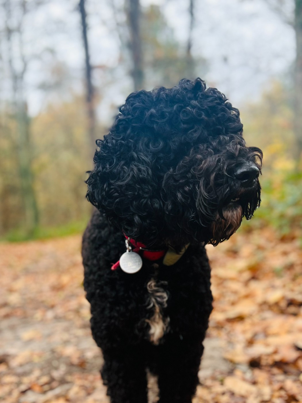 Uguette du sentier de la graviêre